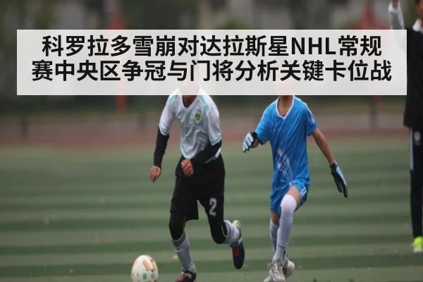 科罗拉多雪崩对达拉斯星NHL常规赛中央区争冠与门将分析关键卡位战